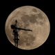 Tower crane silhouetted against the Moon in Dubai, UAE. Image: Kamran Jebreili/AP